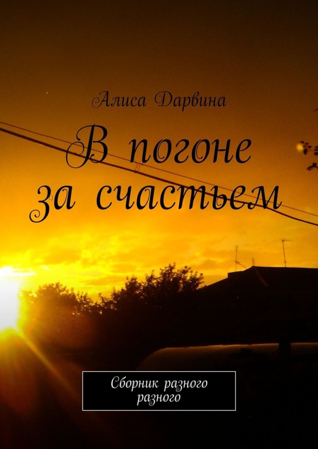 В погоне за счастьем. Сборник разного разного