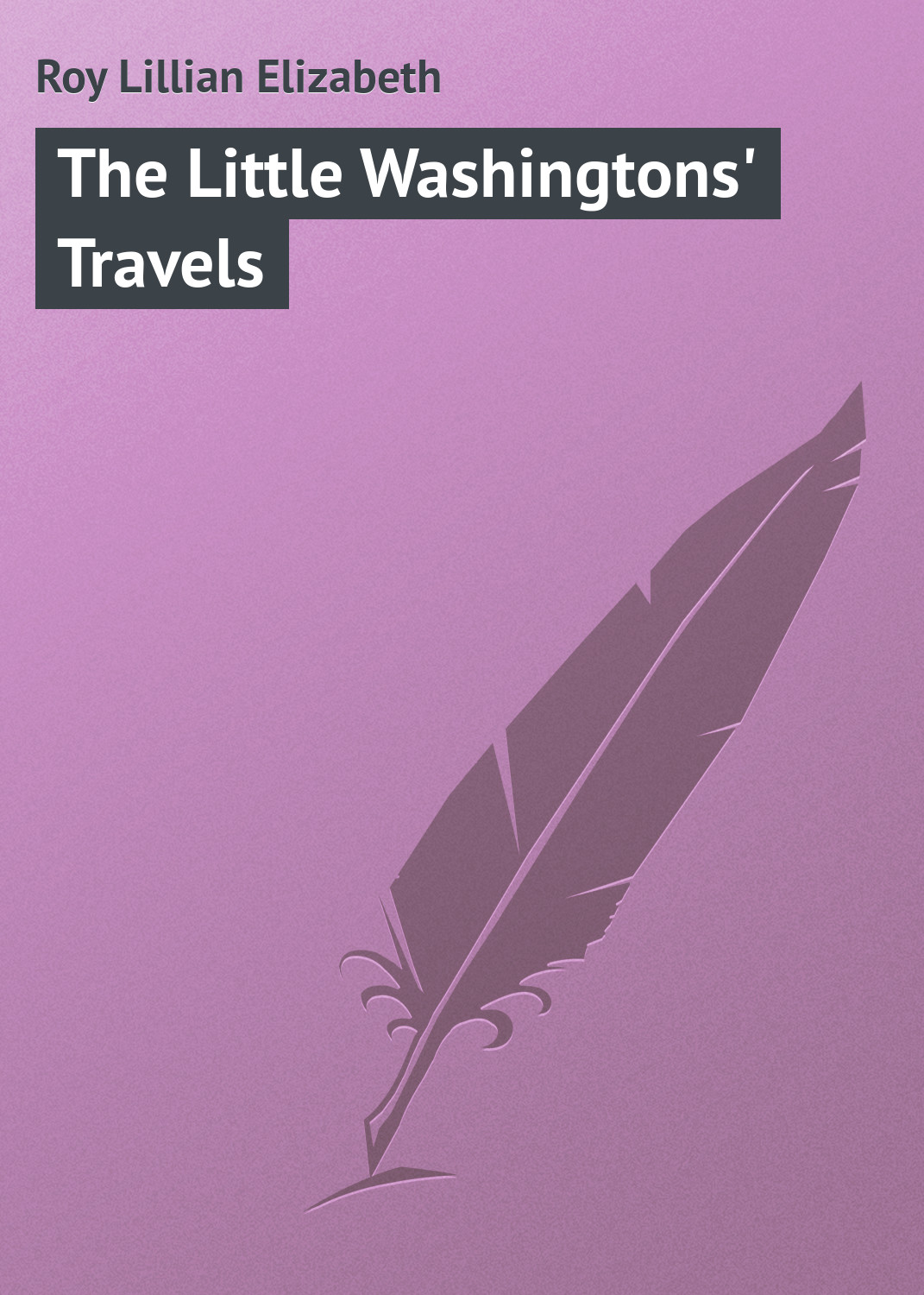 The Little Washingtons'Travels