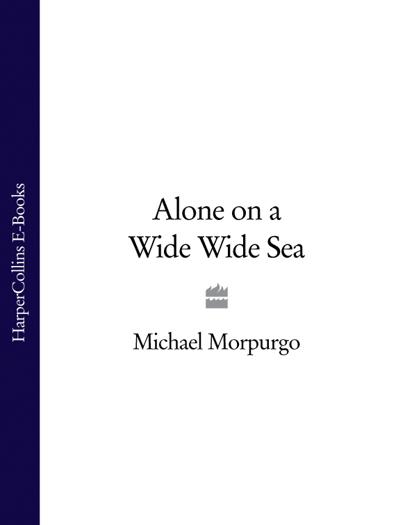 Alone on a Wide Wide Sea