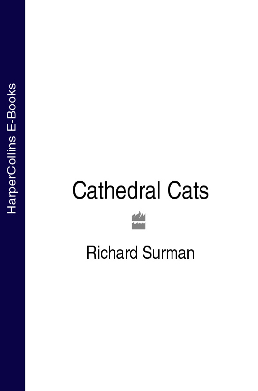 Книга Cathedral Cats из серии , созданная Richard Surman, может относится к жанру Домашние Животные. Стоимость книги Cathedral Cats  с идентификатором 39779821 составляет 156.15 руб.