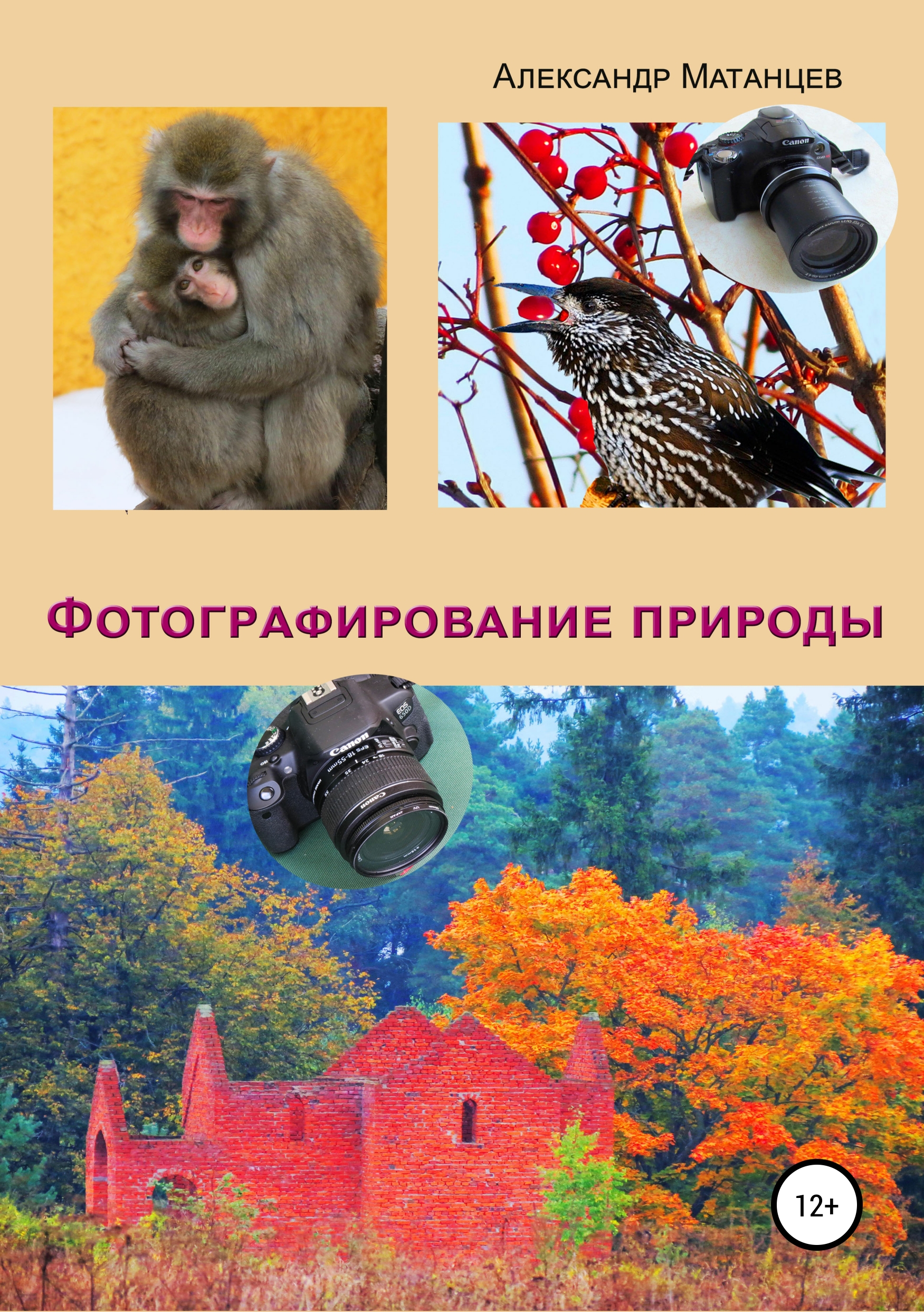 Книга Фотографирование природы из серии , созданная Александр Матанцев, может относится к жанру Изобразительное искусство, фотография, Природа и животные. Стоимость книги Фотографирование природы  с идентификатором 39824421 составляет 249.00 руб.