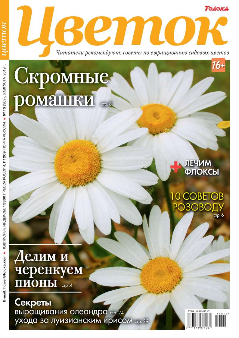 Обложка «Цветок 15-2019»