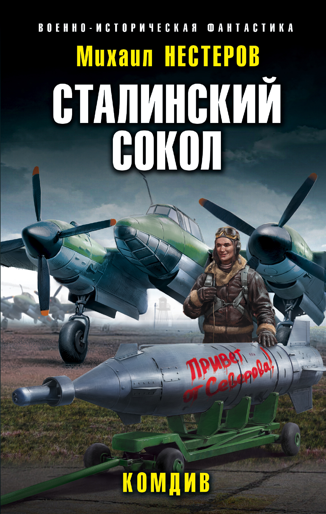 Обложка «Сталинский сокол. Комдив»