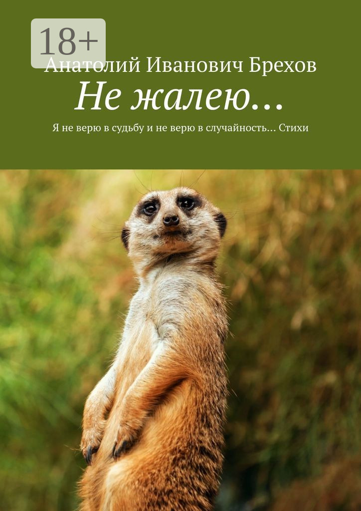 Обложка «Не жалею… Я не верю в судьбу и не верю в случайность… Стихи»