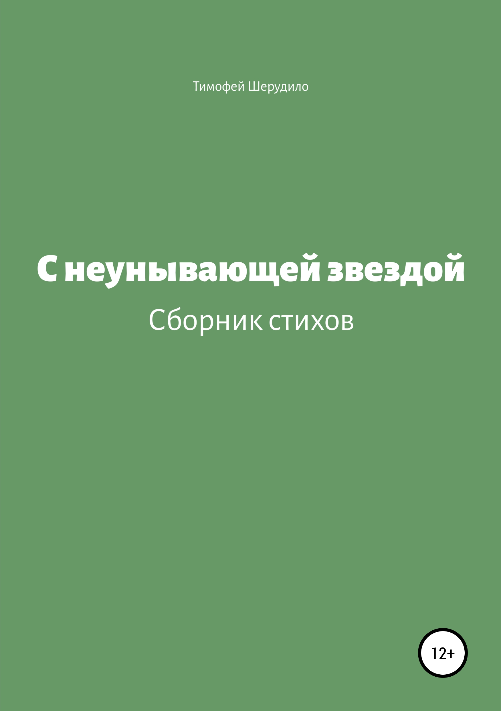 Обложка «С неунывающей звездой. Сборник стихов»
