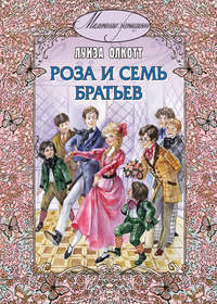 Обложка «Роза и семь братьев»