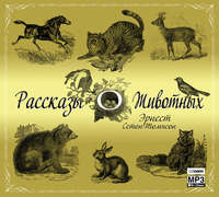 Обложка «Рассказы о животных»