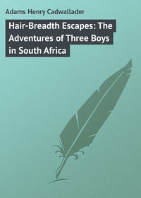 Обложка «Hair-Breadth Escapes: The Adventures of Three Boys in South Africa»