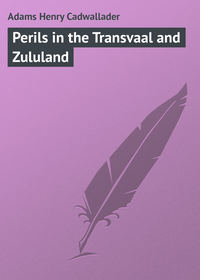Обложка «Perils in the Transvaal and Zululand»