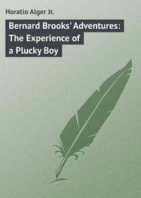 Обложка «Bernard Brooks' Adventures: The Experience of a Plucky Boy»