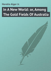 Обложка «In A New World: or, Among The Gold Fields Of Australia»