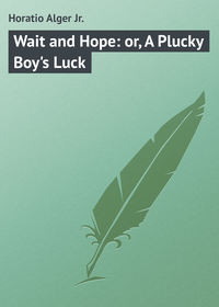 Обложка «Wait and Hope: or, A Plucky Boy's Luck»