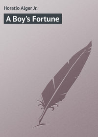 Обложка «A Boy's Fortune»