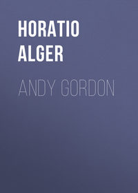Обложка «Andy Gordon»