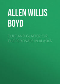 Обложка «Gulf and Glacier; or, The Percivals in Alaska»