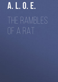Обложка «The Rambles of a Rat»