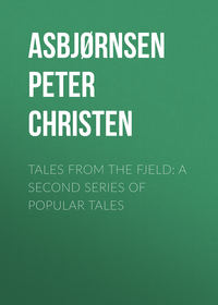 Обложка «Tales from the Fjeld: A Second Series of Popular Tales»