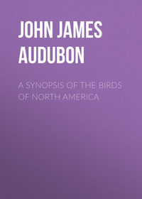 Обложка «A Synopsis of the Birds of North America»