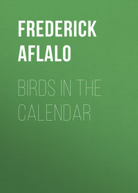 Обложка «Birds in the Calendar»