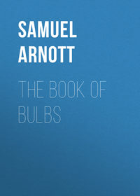 Обложка «The Book of Bulbs»