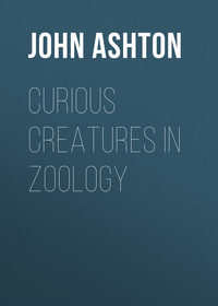 Обложка «Curious Creatures in Zoology»