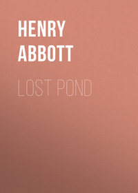 Обложка «Lost Pond»