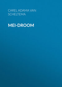 Обложка «Mei-droom»