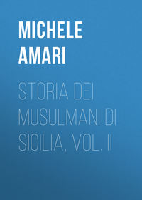 Обложка «Storia dei musulmani di Sicilia, vol. II»