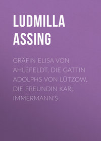 Обложка «Gräfin Elisa von Ahlefeldt, die Gattin Adolphs von Lützow, die Freundin Karl Immermann's»