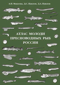 Обложка «Атлас молоди пресноводных рыб России»