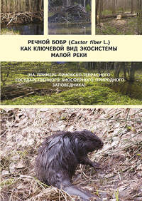 Обложка «Речной бобр (Castor fiber L.) как ключевой вид экосистемы малой реки (на примере Приокско-Террасного государственного биосферного природного заповедника)»