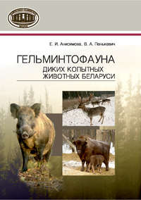 Обложка «Гельминтофауна диких копытных животных Беларуси»