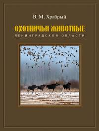 Обложка «Охотничьи животные Ленинградской области»