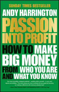 Обложка «Passion Into Profit»