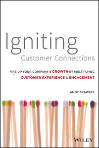 Обложка «Igniting Customer Connections»