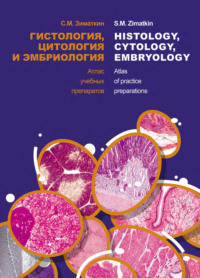 Обложка «Гистология, цитология и эмбриология. Атлас учебных препаратов / Histology, Cytology, Embriology. Atlas of practice preparations»