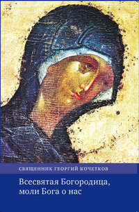 Обложка «Всесвятая Богородица, моли Бога о нас. Проповеди на Богородичные праздники 1990–2016 годов.»