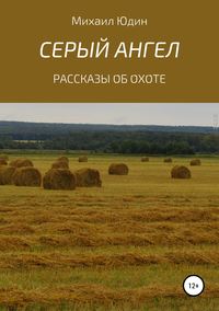 Обложка «Серый Ангел»