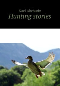 Обложка «Hunting stories»