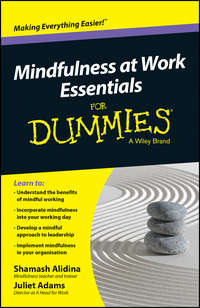 Обложка «Mindfulness At Work Essentials For Dummies»