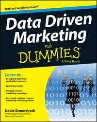 Обложка «Data Driven Marketing For Dummies»