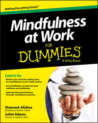 Обложка «Mindfulness at Work For Dummies»