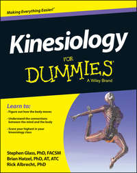 Обложка «Kinesiology For Dummies»