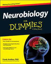 Обложка «Neurobiology For Dummies»