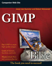 Обложка «GIMP Bible»