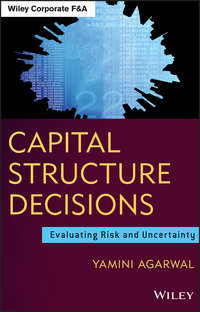 Обложка «Capital Structure Decisions. Evaluating Risk and Uncertainty»