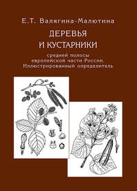 Обложка «Деревья и кустарники средней полосы европейской части России. Иллюстрированный определитель»