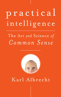Обложка «Practical Intelligence. The Art and Science of Common Sense»