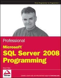 Обложка «Professional Microsoft SQL Server 2008 Programming»
