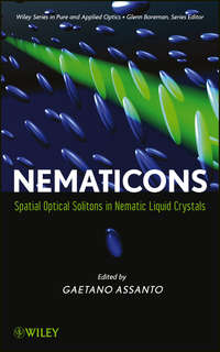 Обложка «Nematicons. Spatial Optical Solitons in Nematic Liquid Crystals»